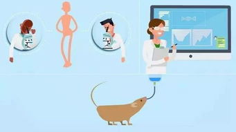 药物相互作用：揭秘动物实验设计背后的科学奥秘